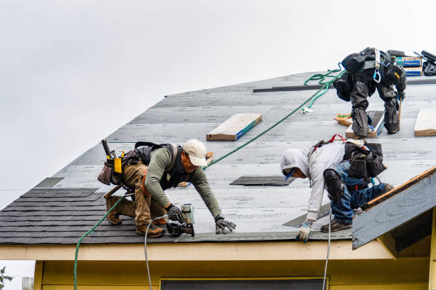 Professional Gutter Installation technician working in Tekamah, NE